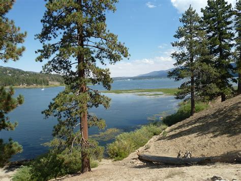 Can You Swim in Deep Creek Lake? Exploring the Depths of Aquatic Adventures