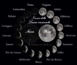  La Danza della Luna Crescente: Un Esplorazione Romantica del Mistero Notturno