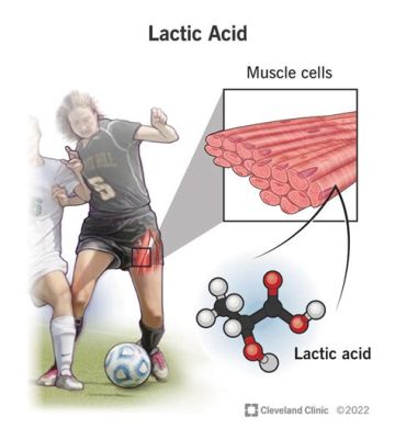 What is Lactic Acid Tolerance in Physical Education and How Does It Influence Athletic Performance?