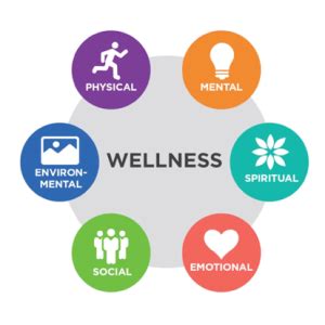 What is Wellness in Physical Education: A Journey Beyond the Gym